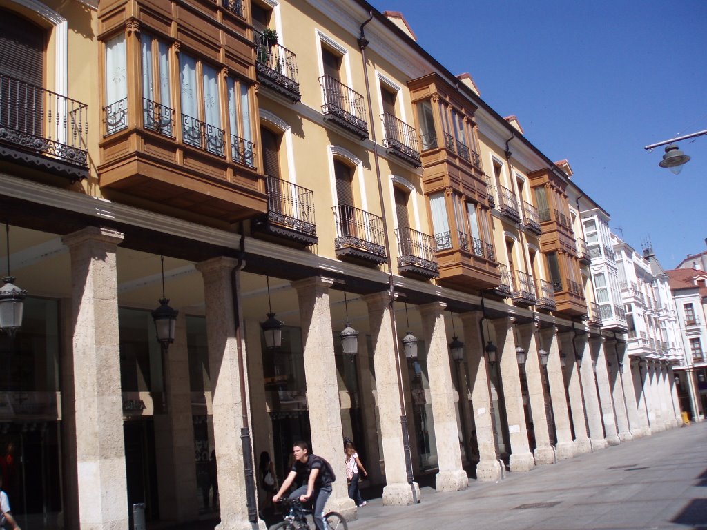 Centro de Palencia by Jesús Bernuz