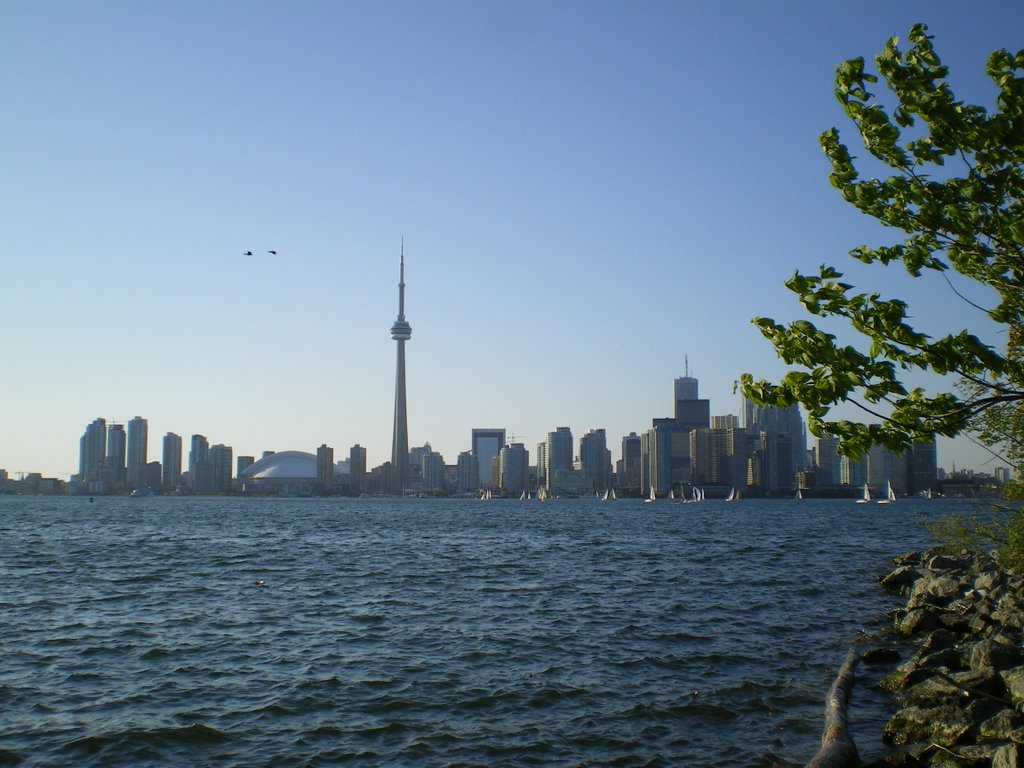 Nice day in Toronto by Tchantaul