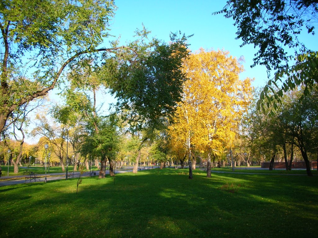 S View. Trees in th Park. Fall 2008 by Romualdas_arm