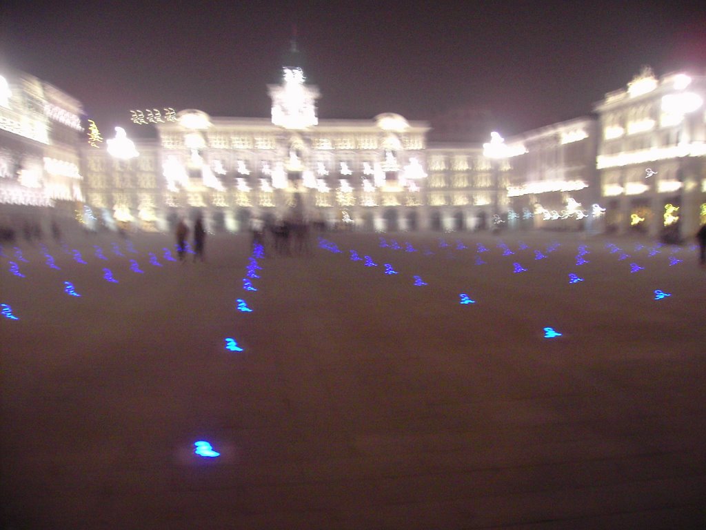 Trieste notte by michele martini