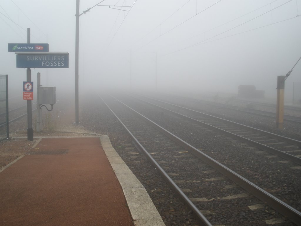 Gare de SURVILLIERS - FOSSES - Brouillard by DESRENTES ERIC