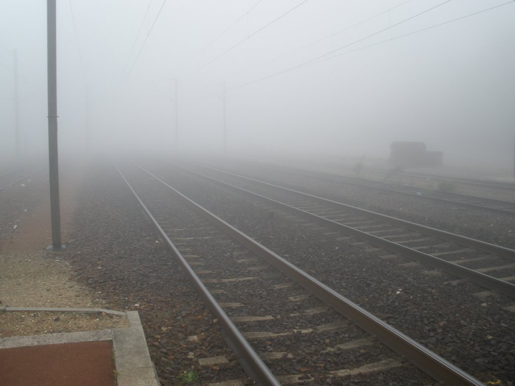 Gare de SURVILLIERS - FOSSES - Brouillard by DESRENTES ERIC