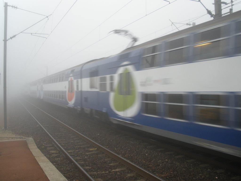 Gare de SURVILLIERS - FOSSES - Brouillard by DESRENTES ERIC