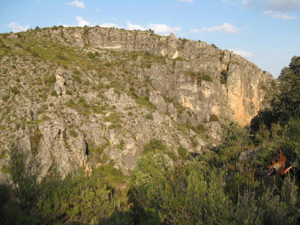 Cerro del castillo by el juanan