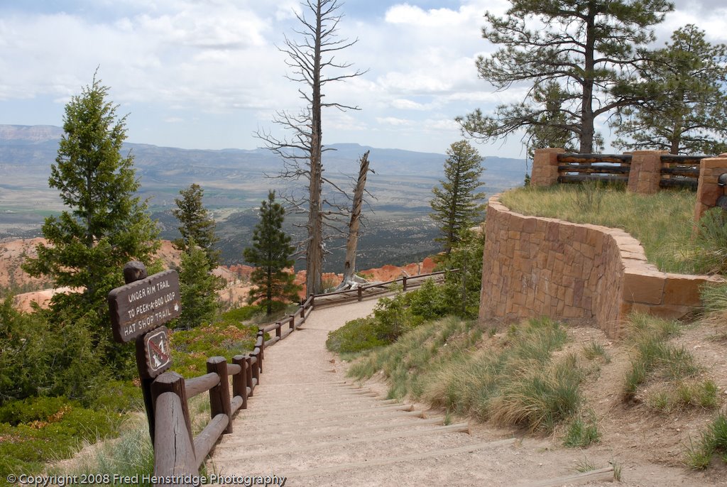 Bryce Canyon, Trail to Bryce Point by Fred Henstridge