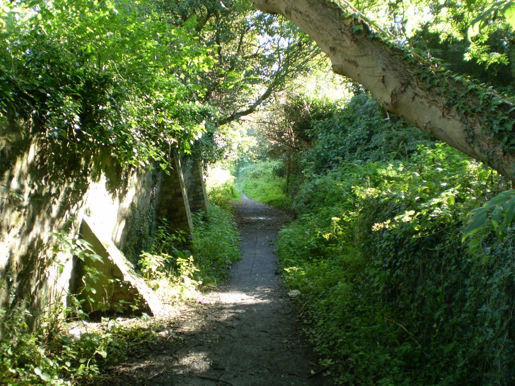 The Walk by acephotoman