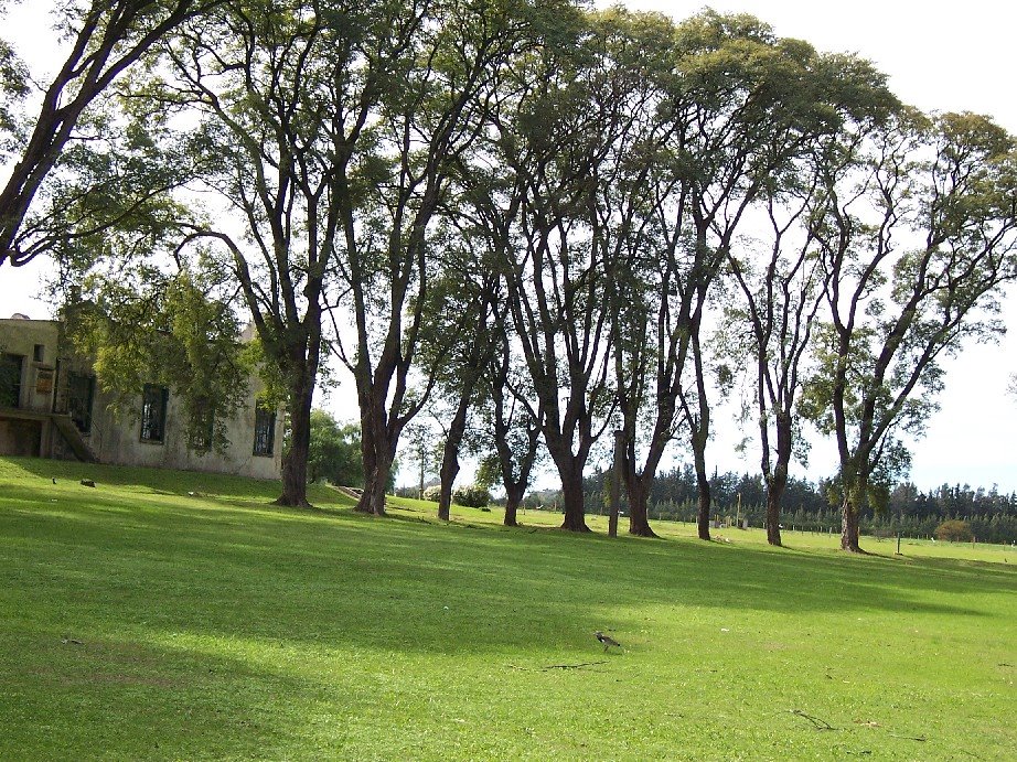 Parque de Aguas Corrientes - Ayuí - Salto by Edmundo Rodríguez Pr…