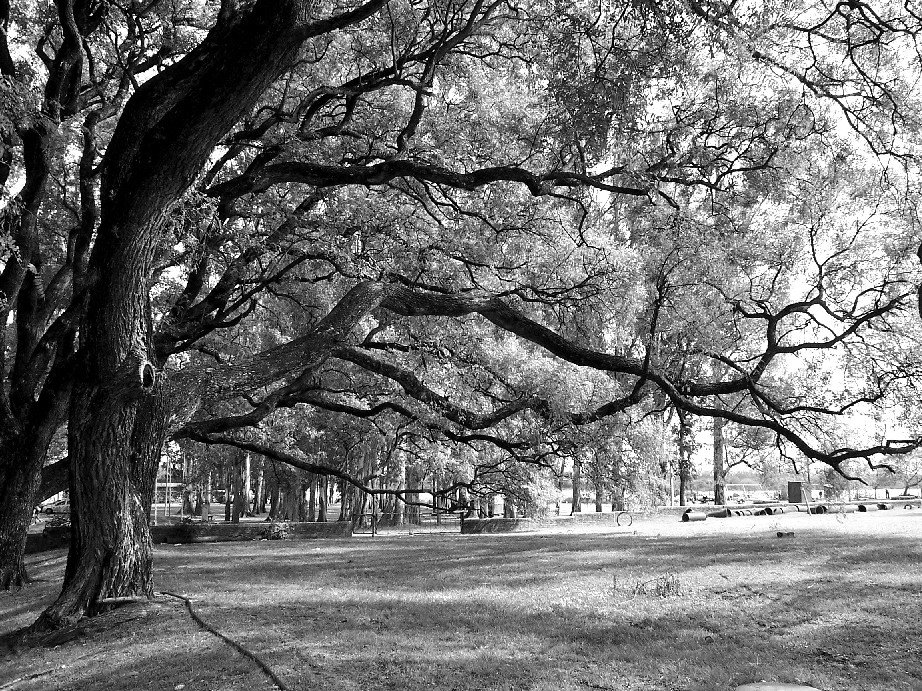 Parque de Aguas Corrientes - Ayuí - Salto by Ed. Rodríguez Prati