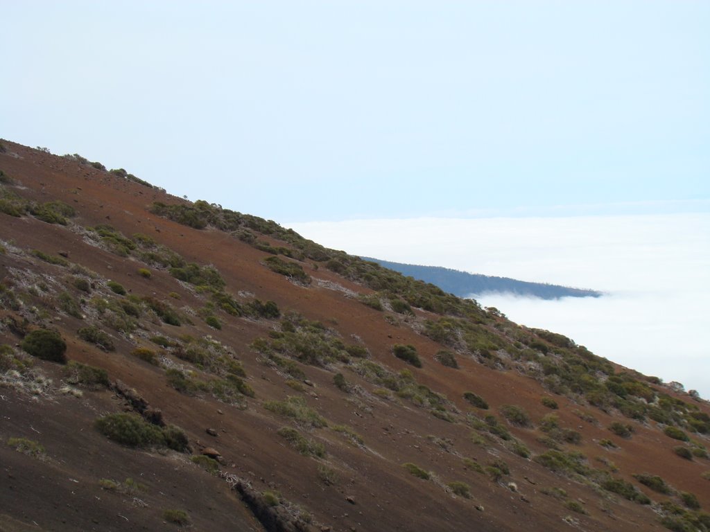 Camino al Teide by gatafea