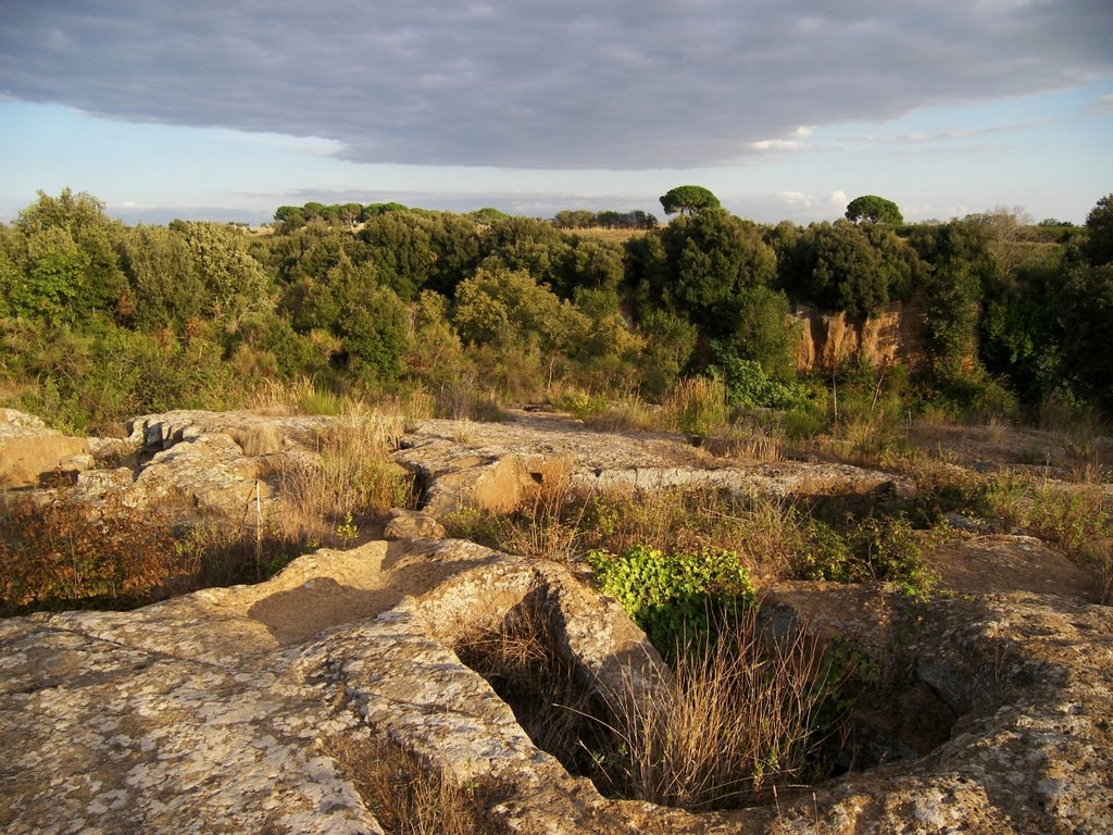 Necropoli della Banditaccia (Cerveteri)-Necropoli con tombe a pozzo verso la Via degli Inferi by lucabellincioni