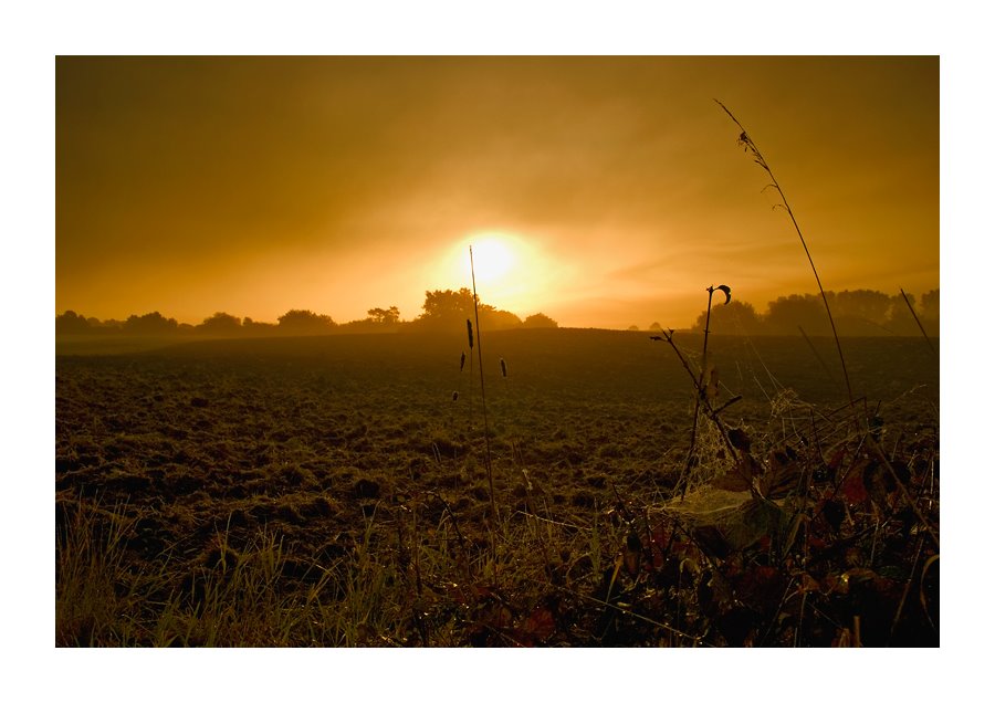 Morgenstimmung by Karl-Heinz Bitter