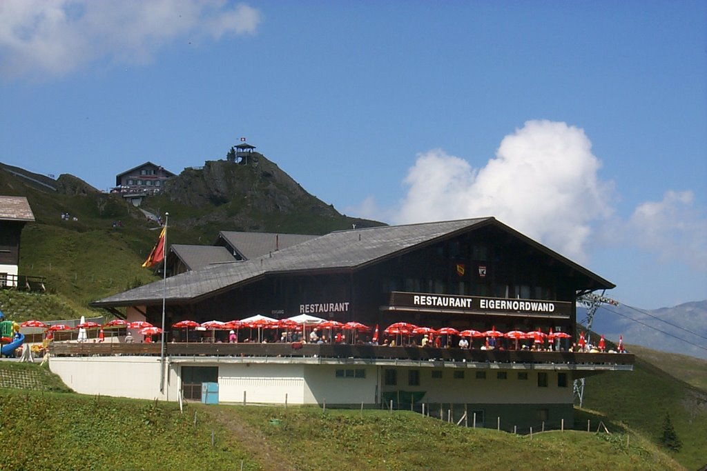 Grindelwald, Switzerland by Patrick G