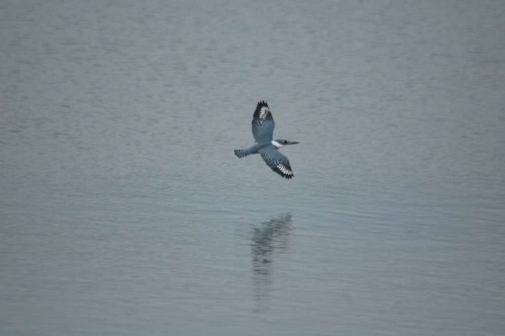 Lago do Amor - 1 by Mario Bueno - foto.