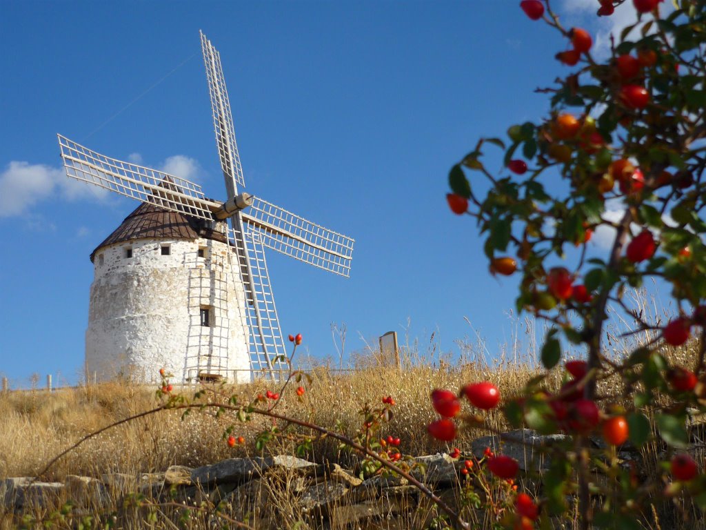 Molino de viento, Ojos Negros by Jose Erin