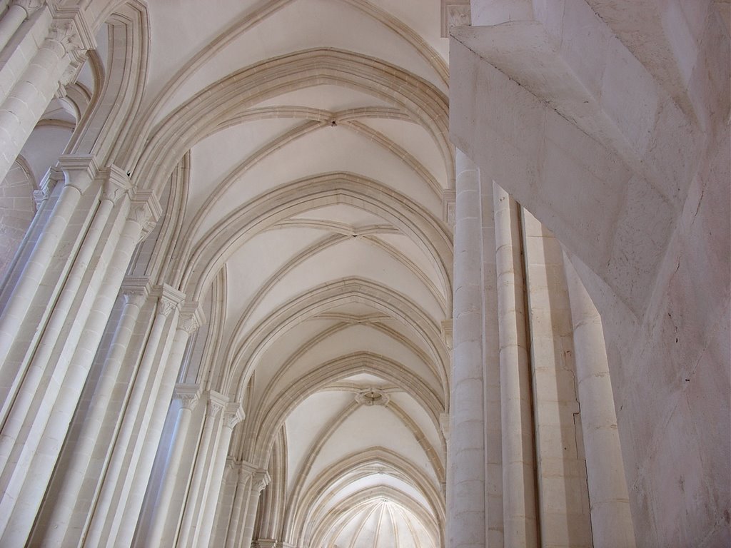 Mosteiro de Alcobaça by npa