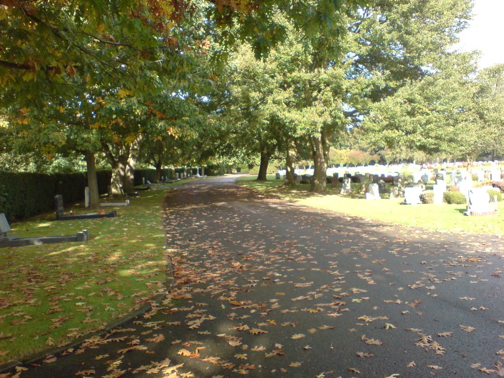 Randalls Park, Leatherhead by Gordon Abben