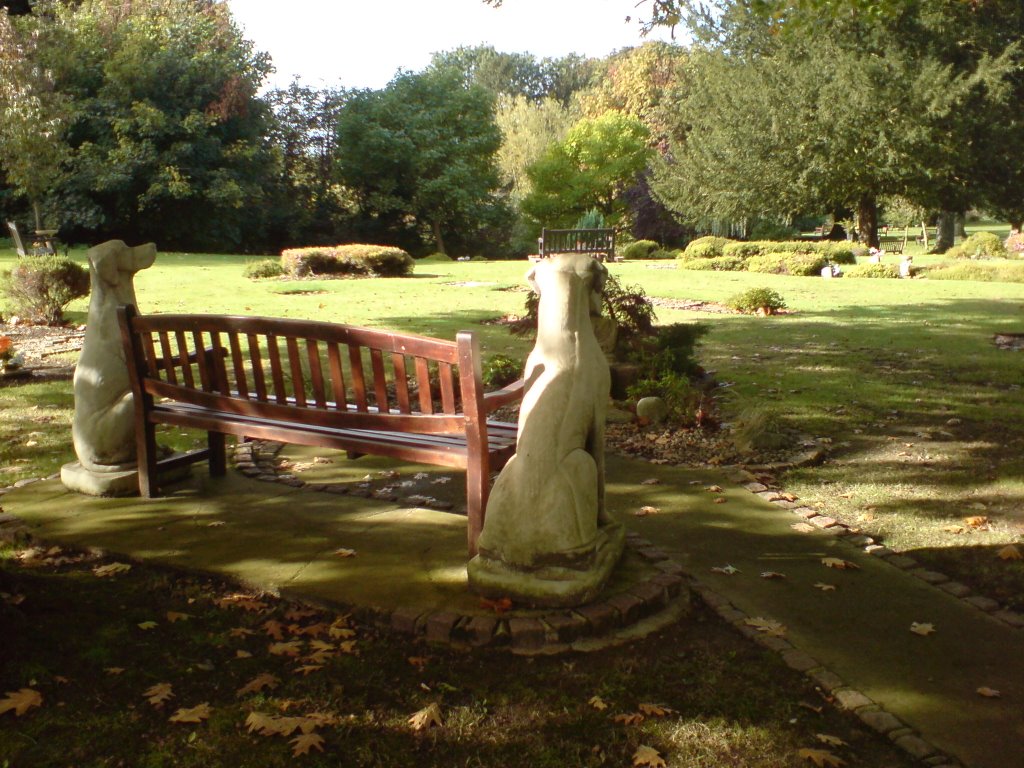 Bench, Randalls Park by Gordon Abben