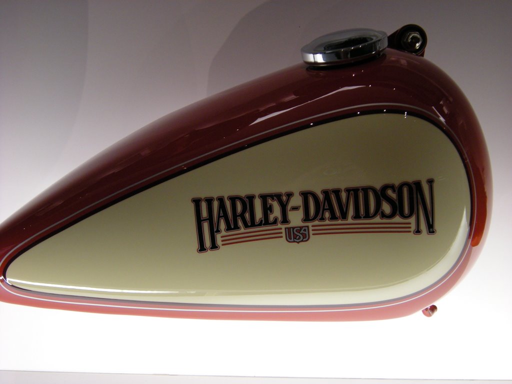 Milwaukee-WI-Harley-Davidson Museum by migola57