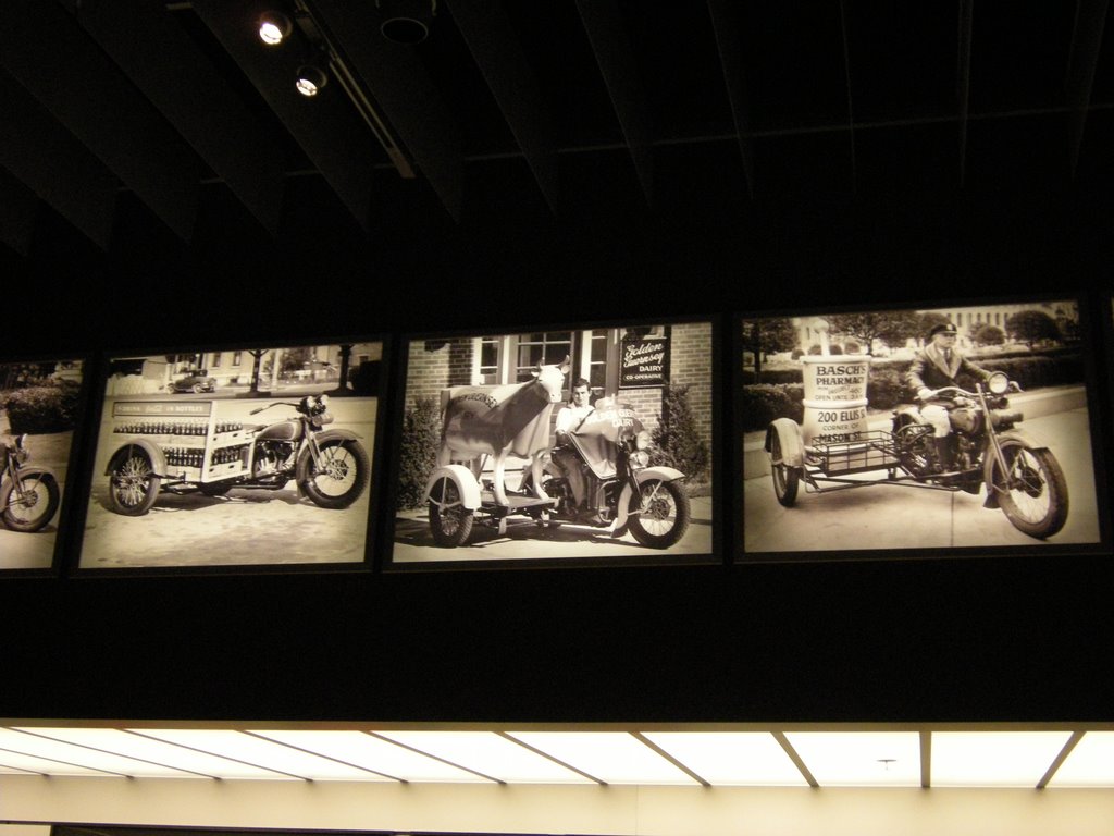 Milwaukee-WI-Harley-Davidson Museum by migola57