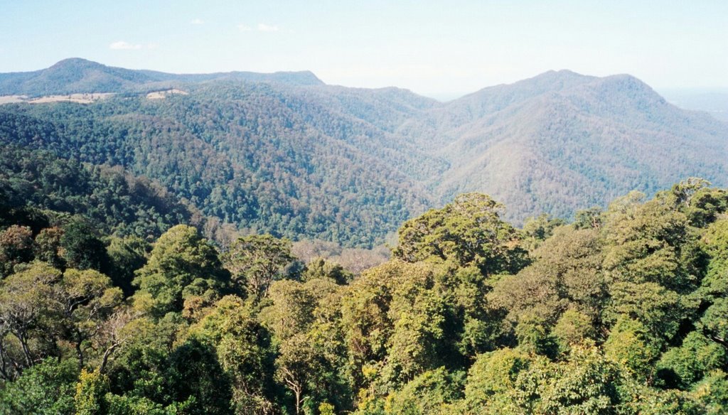 Dorrigo Skywalk view to centre-right by Alarix