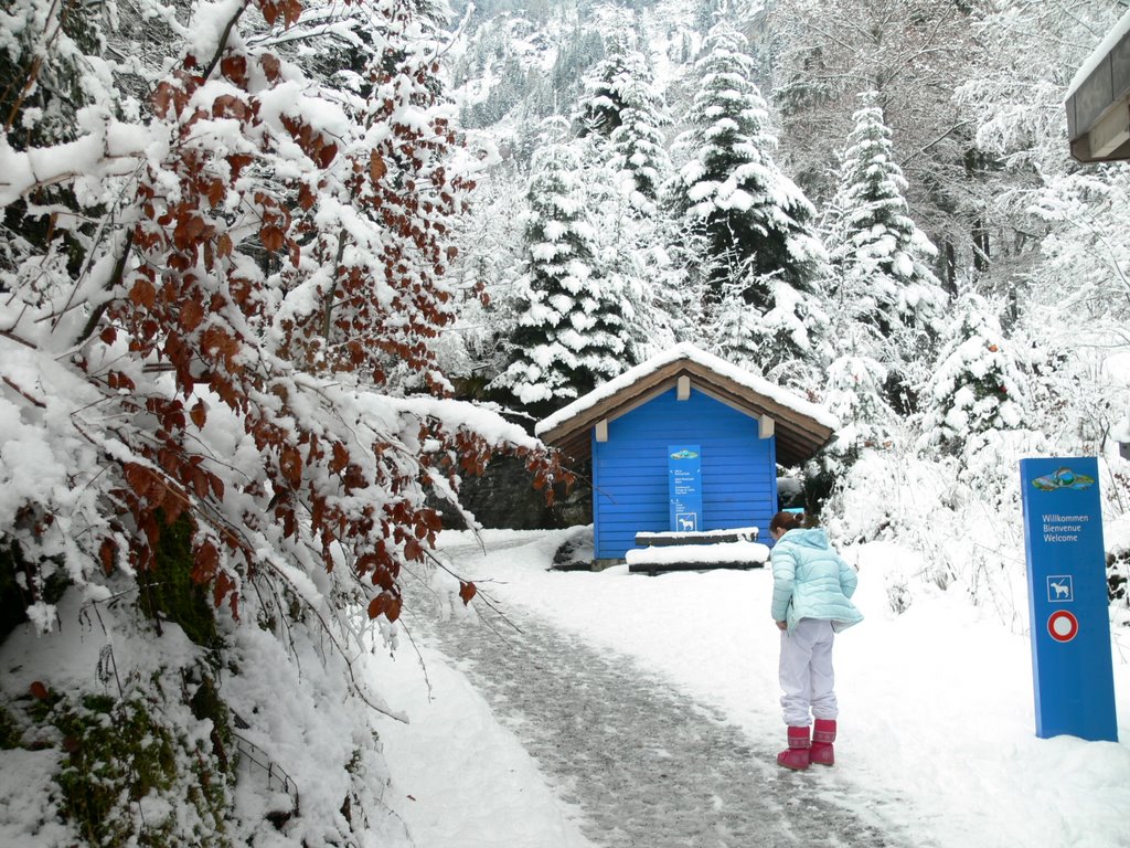 BLAUSEE by joanff