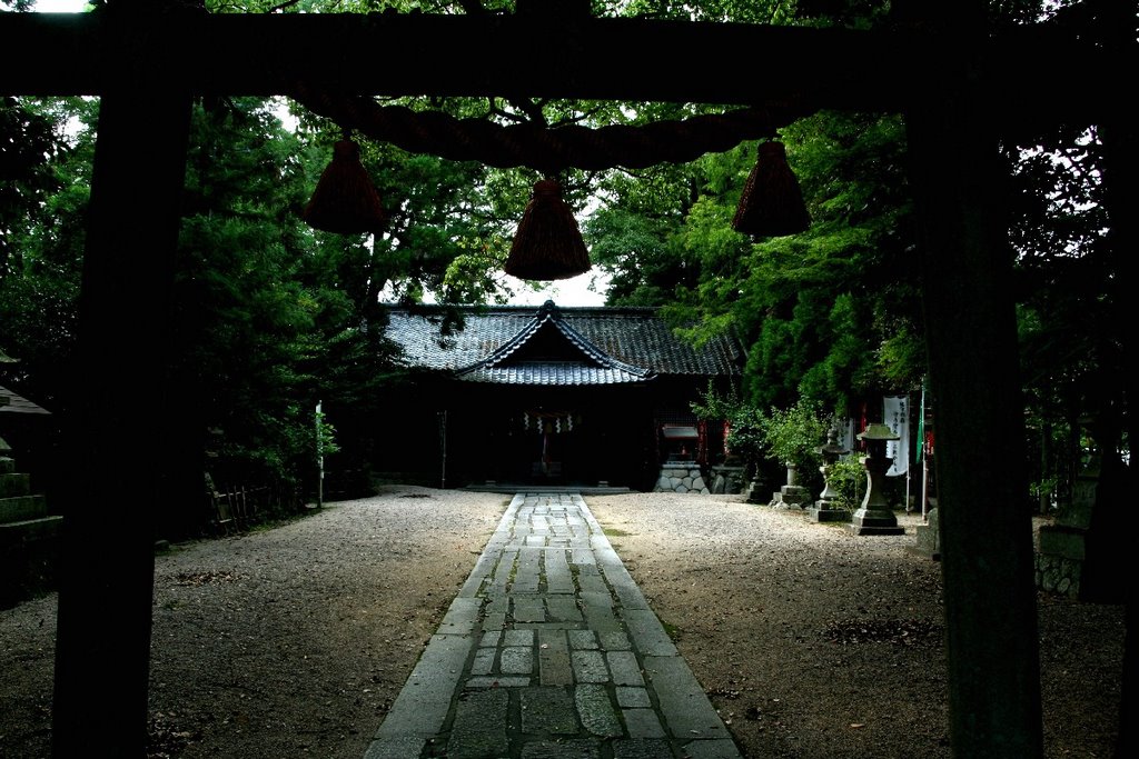 Kameyama Shrine by Teru172