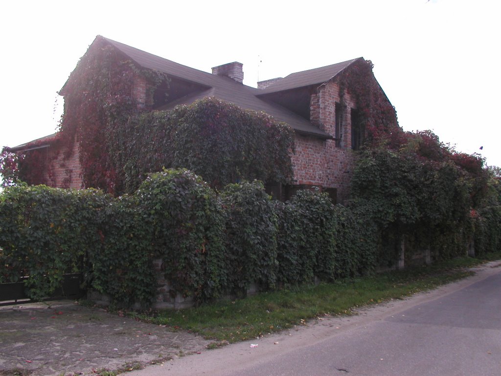 Old villa in Czersk - PA070173 by Lukasz Gradowski