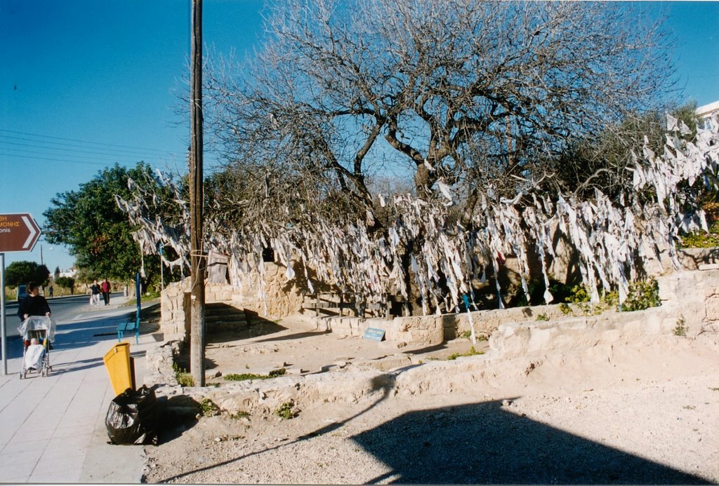 Prayer Tree above Agia Salomonis Catacomb by Stanley Stacy