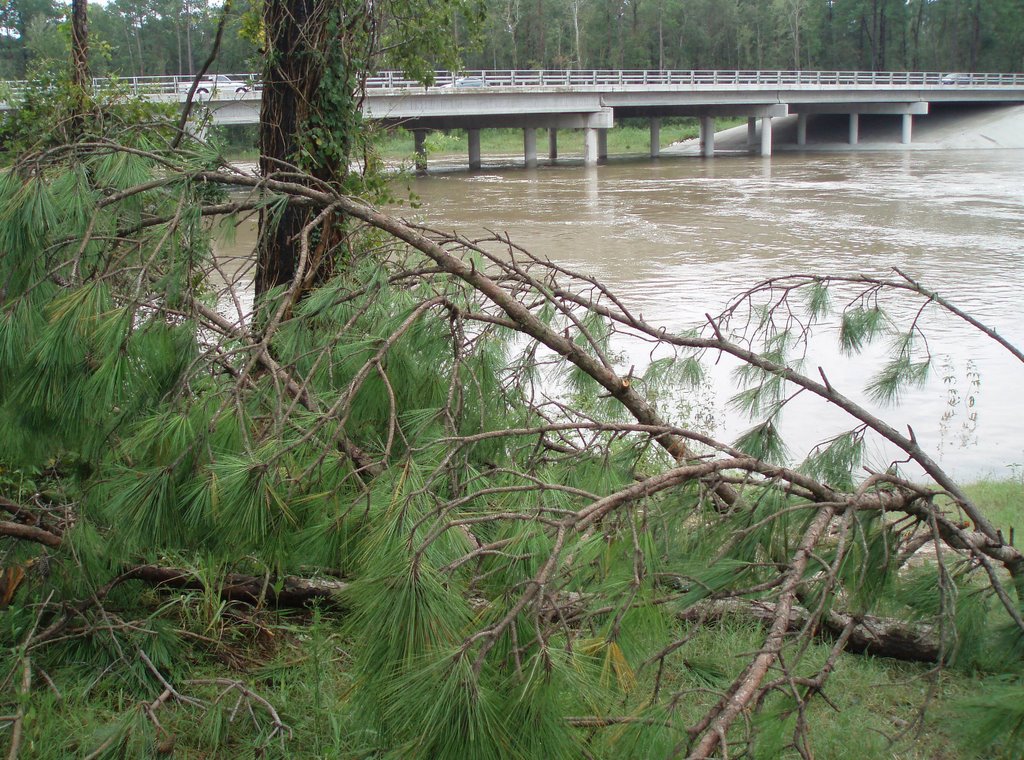 Spring Creek 2 days after Ike (9-14-08) by Lubomira Soroko