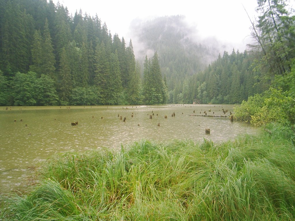 The Red Lake on rain by Duma Bogdan