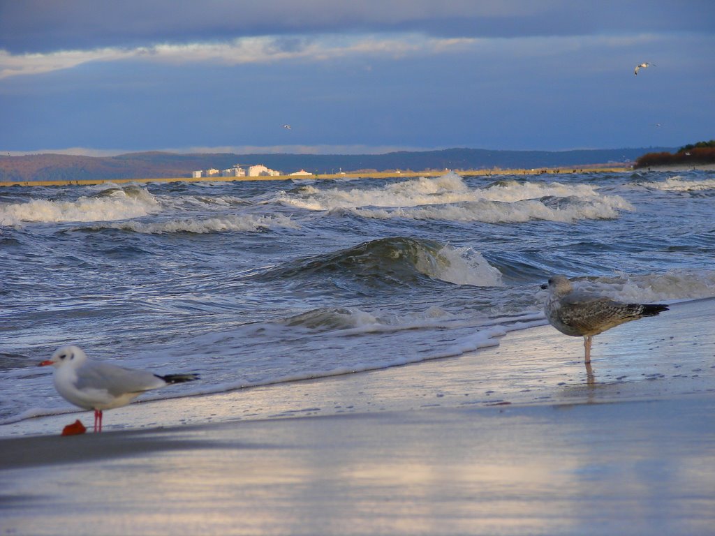 Plaża... by Daniel Dyc