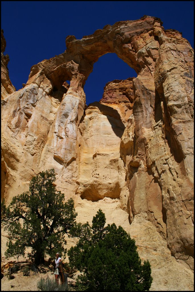 Cottonwood Canyon Rd, - Grosvenor Arch...C by americatramp