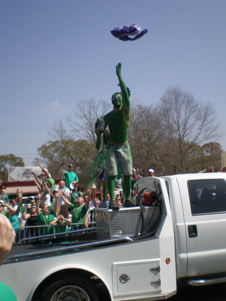 St. Patricks Day Parade by Greg48