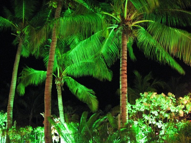 Sofitel Fiji @ night by ebdsouza