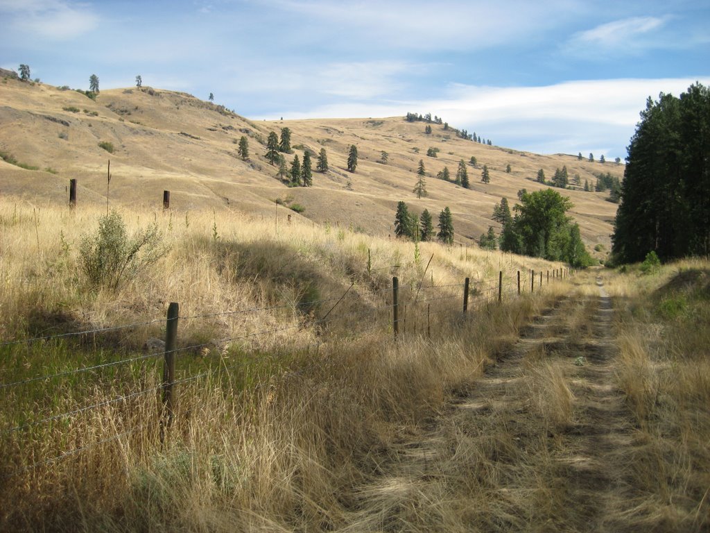 Kettle Valley West of Midway by Dean Johnson