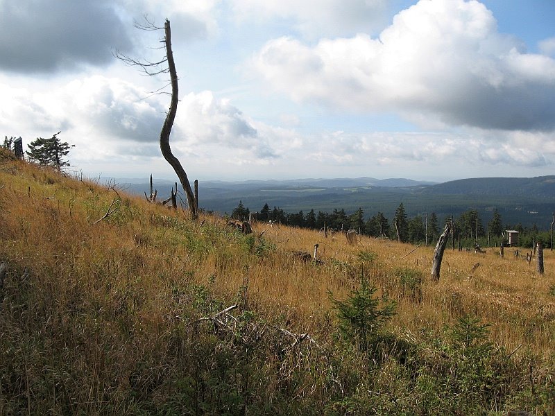 Auf dem Wurmberg - 09.2007 by trigonal