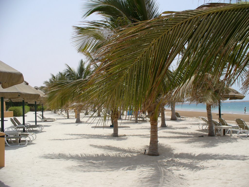 Al Jazirah Al Hamra - Ras al Khaimah - United Arab Emirates by Sea Gull