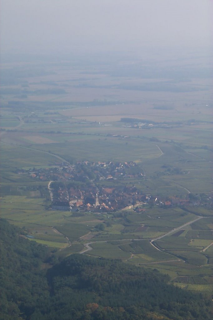 Vue depuis le Königsburg by Patrick G