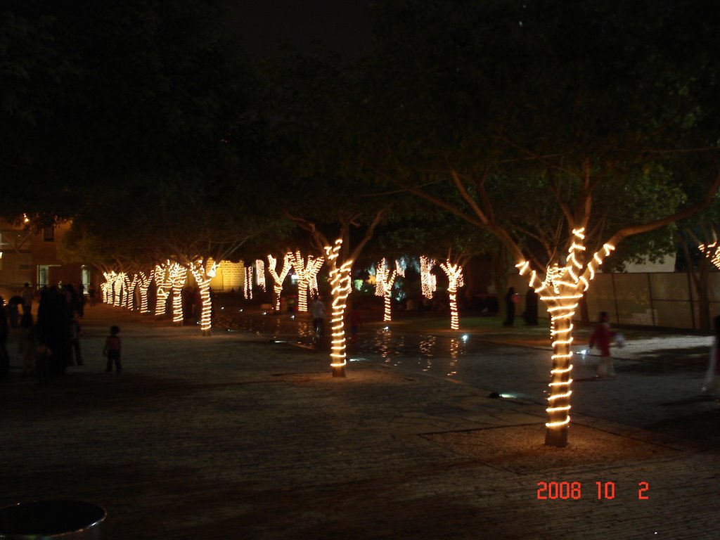 Beautiful trees with lights by jowendell