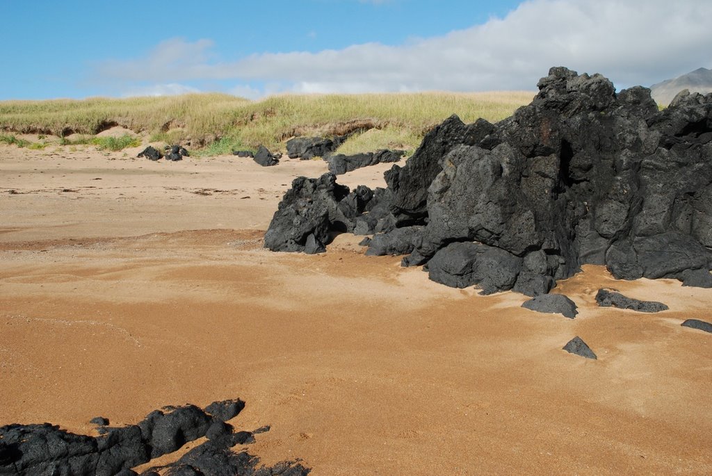 Wonderful red sand beach with lava rocks near Budir, September 2008 by MichaelN