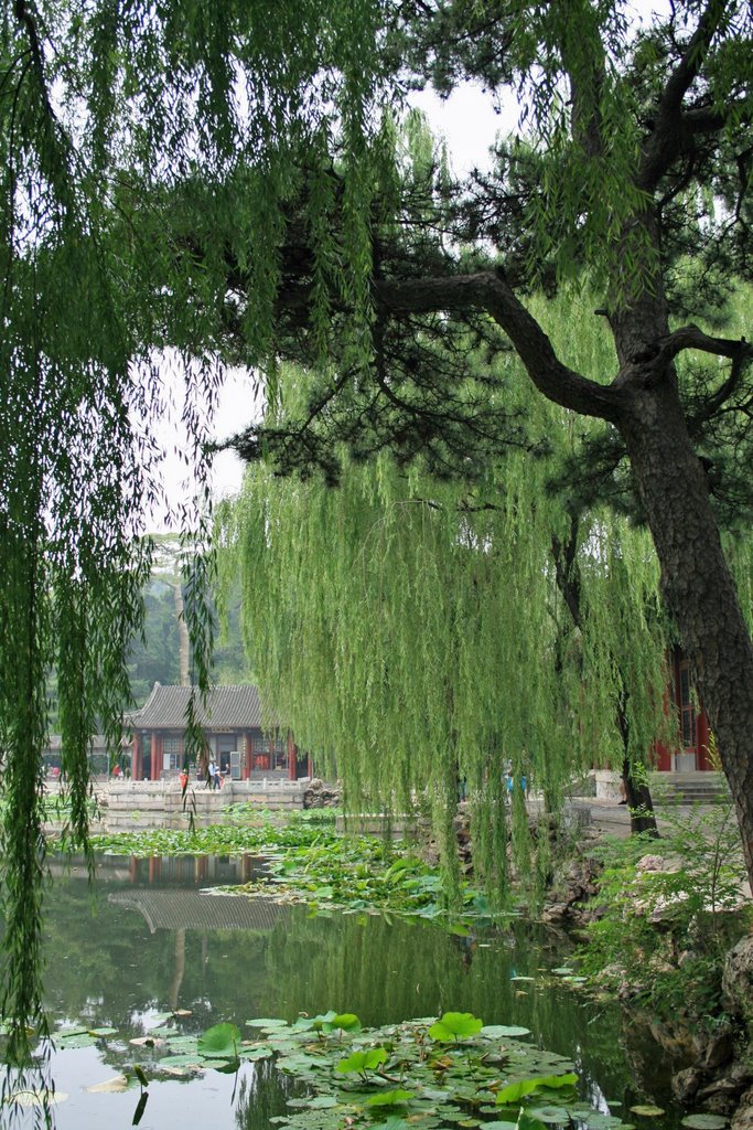 Summer Palace by Tracy Sparkes