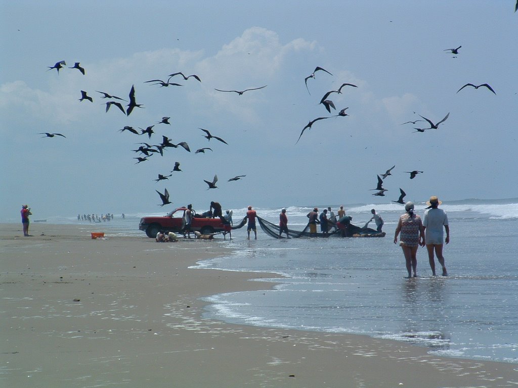 Retour de pêche à Playas by microstan