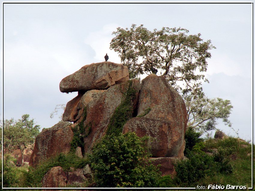 Pedras em Salto - Foto: Fábio Barros by Fábio Barros