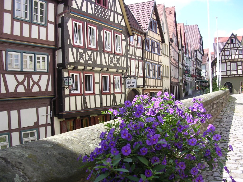 Bad Wimpfen by Gerald Weber