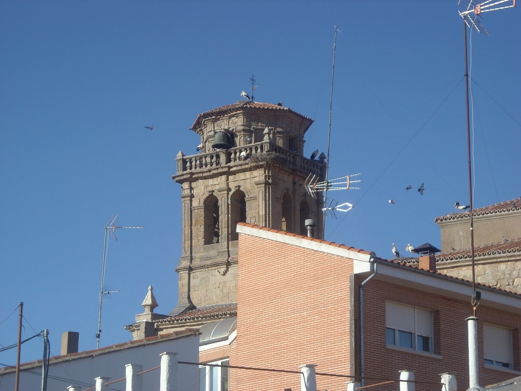 Campanario de la iglesia de Santa María by Frolo