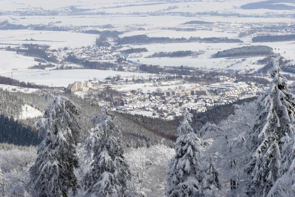 Blick nach Tabarz by Peter Ditter