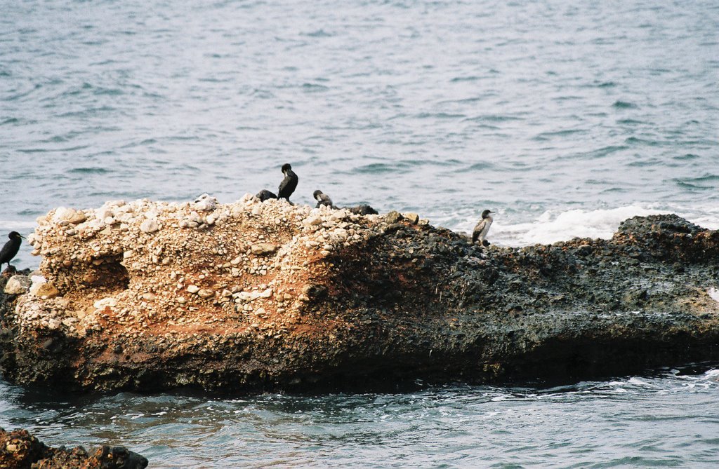 Denia "Les Rotes" by Parisot Martine