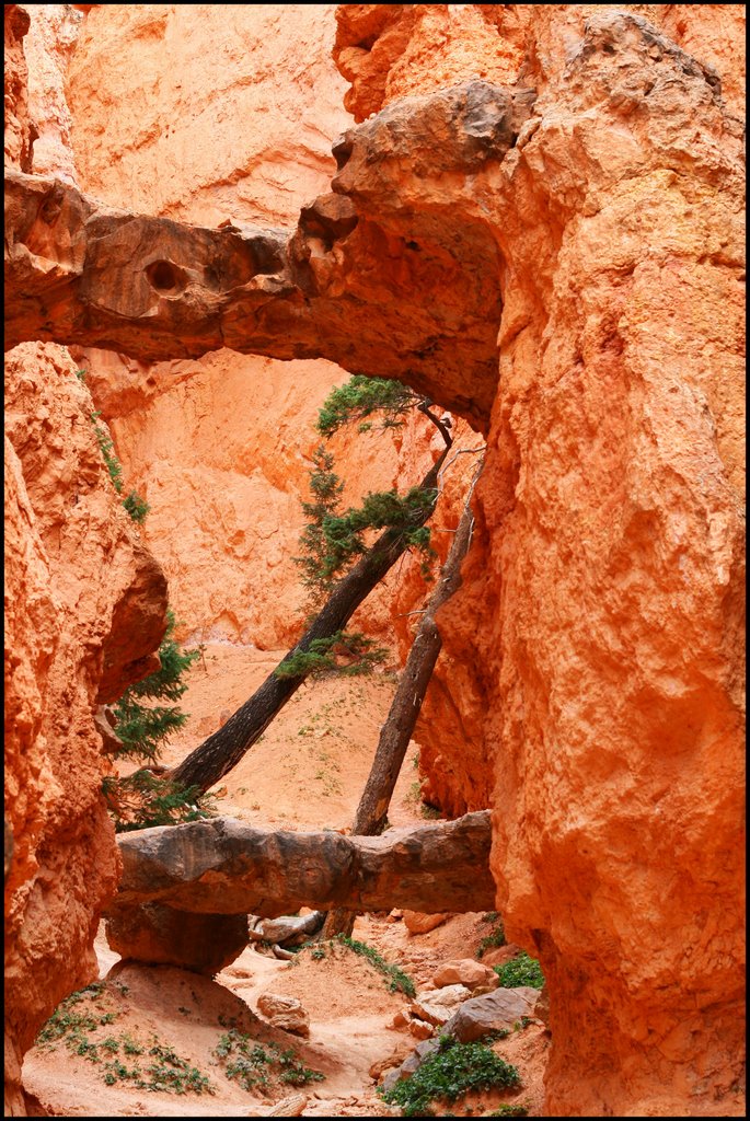 Bryce Canyon...C by americatramp