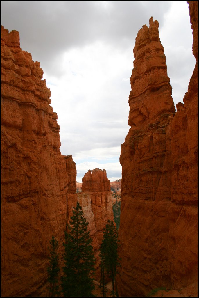 Bryce Canyon...C by americatramp