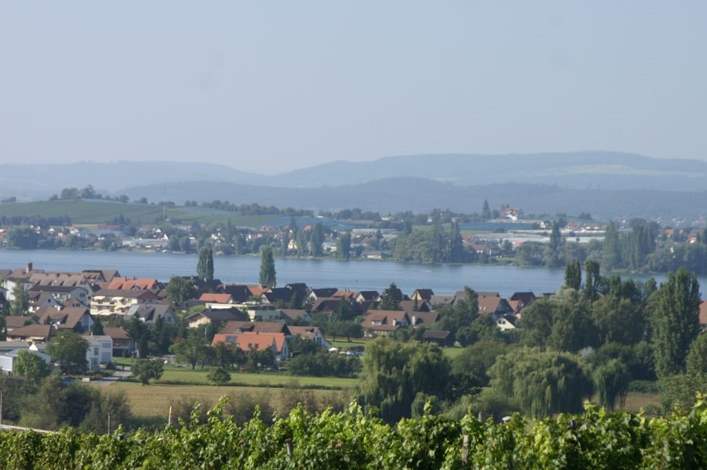 Blick auf den Untersee mit Insel Reichenau by Thomas Merz-Abt